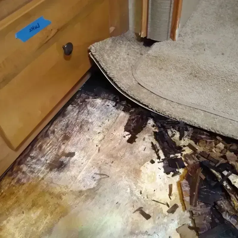 Best Wood Floor Water Damage Service in Overton, TX